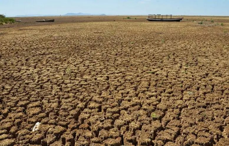 2022 foi o quinto ano mais quente da história, dizem Nasa e Organização Meteorológica Mundial